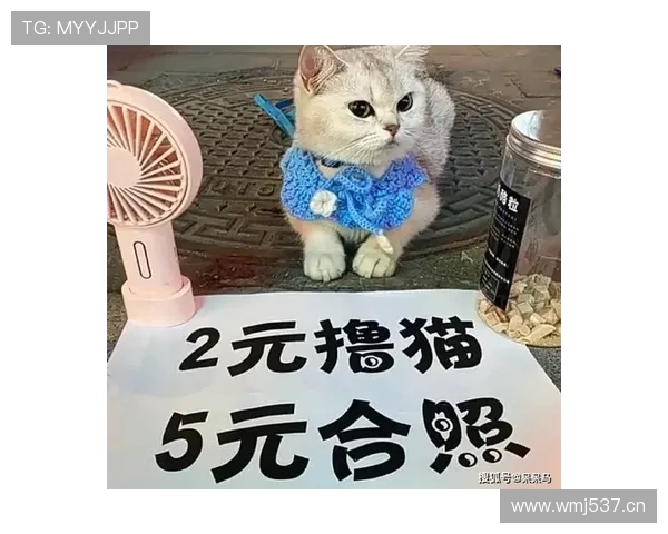 阿尔瓦雷斯机场一手拎名牌包一手挑地摊袜子，笑到停不下来