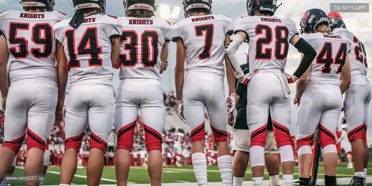 🎧沉浸式解说，让你身临其境！🎯